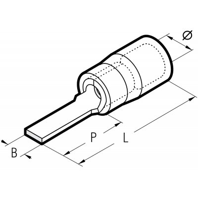 RF-PP12/19