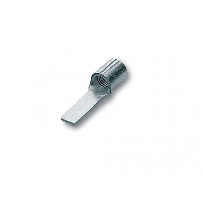 RN-PP12